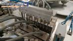 Sarong SAAS model blister forming and sealing machine for suppositories.