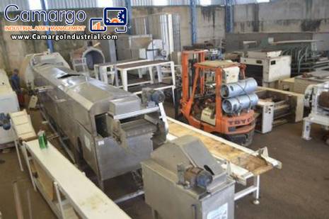 Continuous fryer for frying lines 350 kg MCI