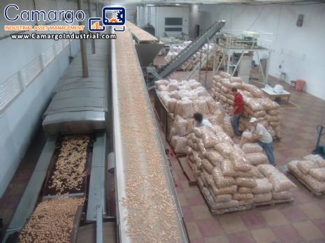 Automated line for production of cookies capacity 800 kg/h