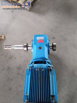 Reducer with 20 HP SEW-Eurodrive motor