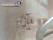 Mecamau stainless steel ribbon blender