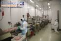 Linha completa para empanados nuggets, bife, tirinhas, hambrguer 500 kg CFS FMC Chiachiera