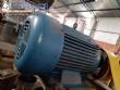 Stainless steel hammer mill 30 hp Tigre