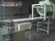 Rotary molding machine for producing dulce de leche and other food products