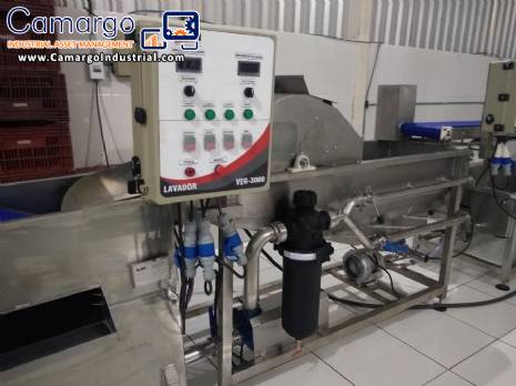 Industrial washer for vegetables and leafy vegetables