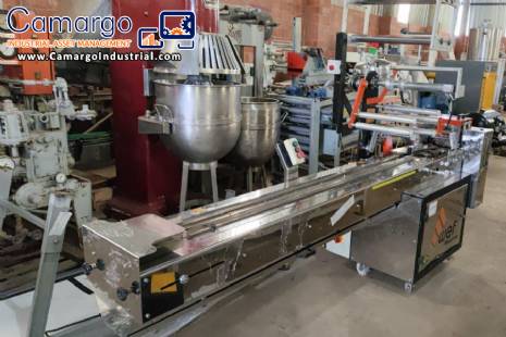 WEF stainless steel flow pack packaging machine