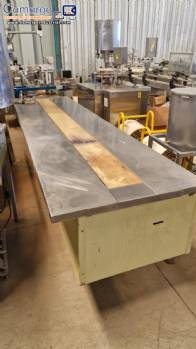 Conveyor belt with stainless steel side table