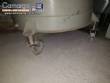 Grabe 2000 L industrial plastic tank made of polypropylene polymer