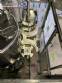 Gravimetric rotary filling machine in stainless steel with cabin