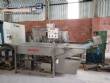 Incalfer double stage continuous stainless steel vegetable washer