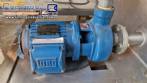 Incalfer double stage continuous stainless steel vegetable washer