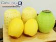 Automatic peeler for pineapple, mango and melon, 250 units per minute Astra