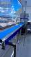 Stainless steel single-screw extruder for sweet biscuits with automatic cutter and conveyor belt, Raffmaq