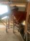 CIBI concrete plant