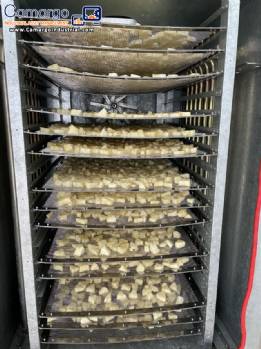 Line for dehydrating fruit